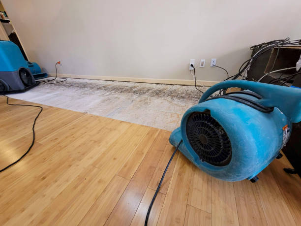 Professional Basement Flood Cleanup technician working in Paris, MS